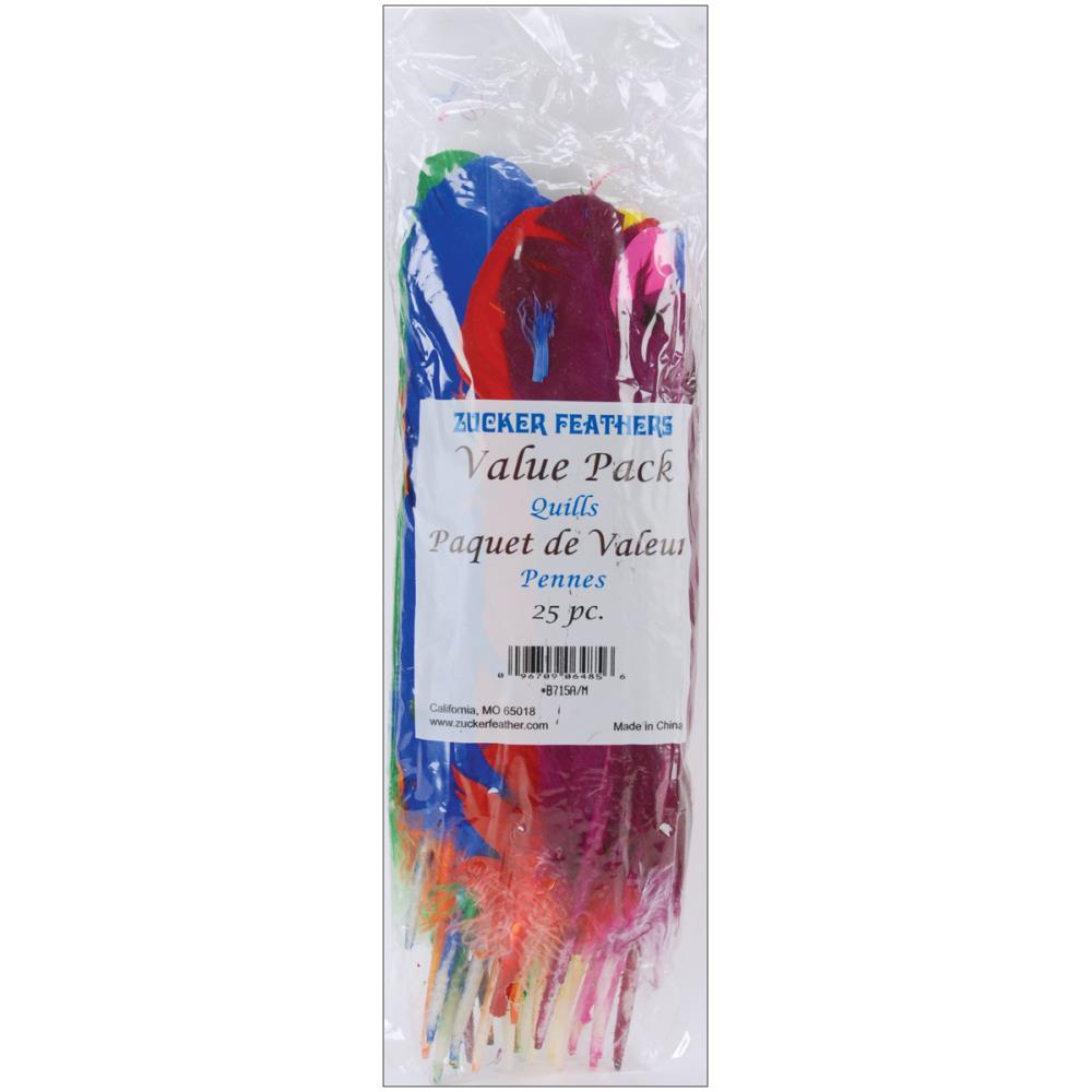 Turkey Quill Feathers Assorted Colors 25/Pkg