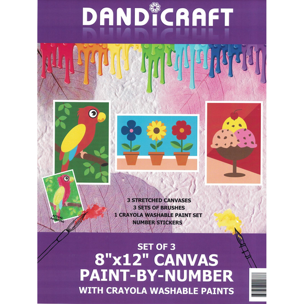 8" x 12" Canvas Paint By Number Set of 3-Parrot, Flowerpots & Ice Cream Cup