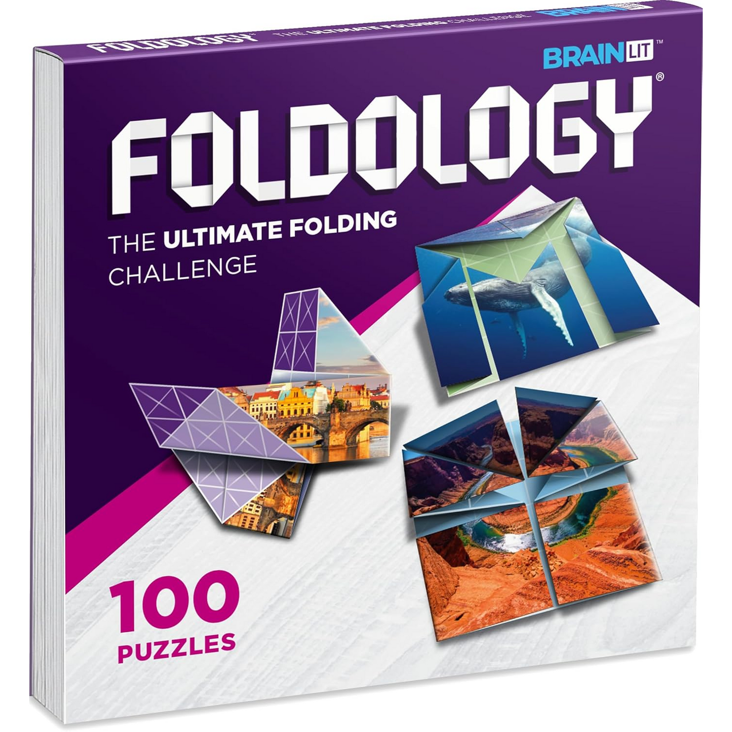 Foldology - The Origami Puzzle Game