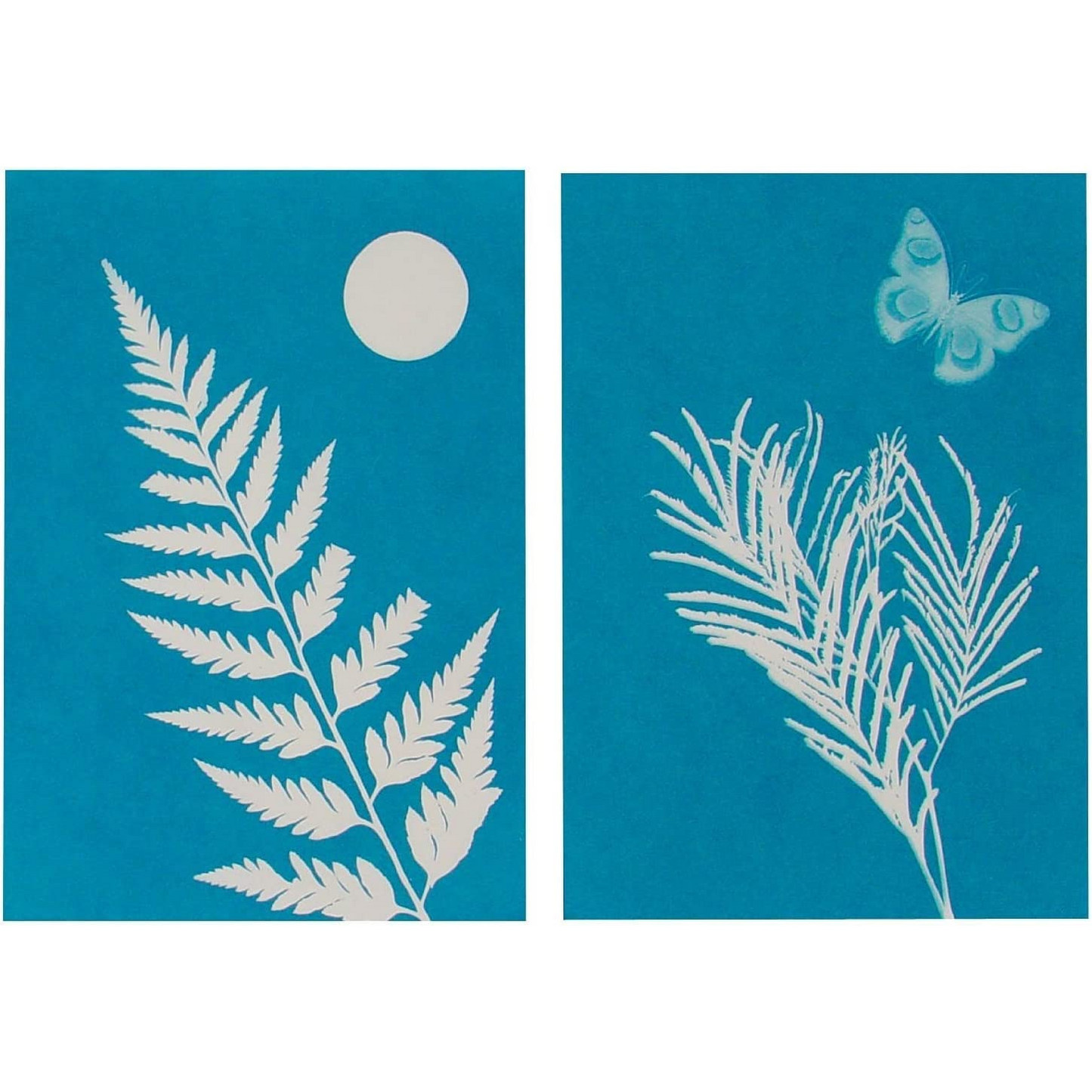 Outdoor Discovery Solar Print Kit