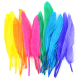 Duck Quill Feathers 24/Pkg