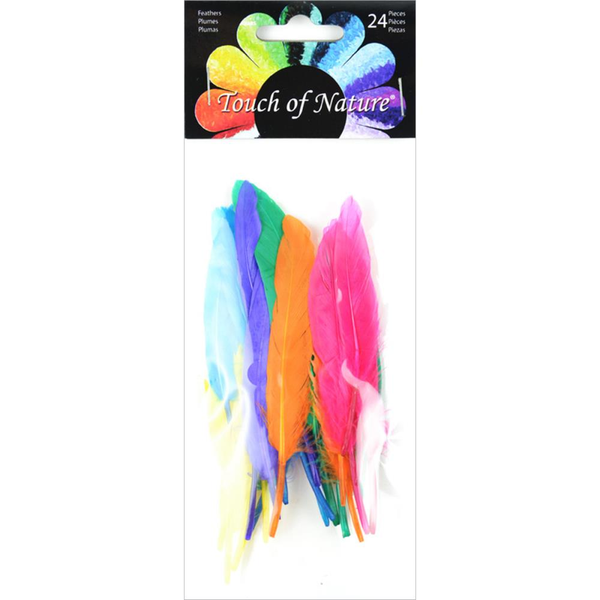 Duck Quill Feathers 24/Pkg