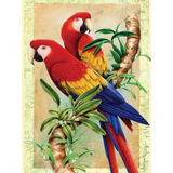 Junior Paint By Number Bamboo & Parrots