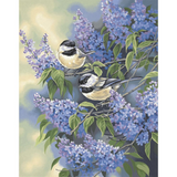 Paint By Number 11" x 14" Chickadees & Lilacs