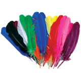 Turkey Quill Feathers Assorted Colors 25/Pkg