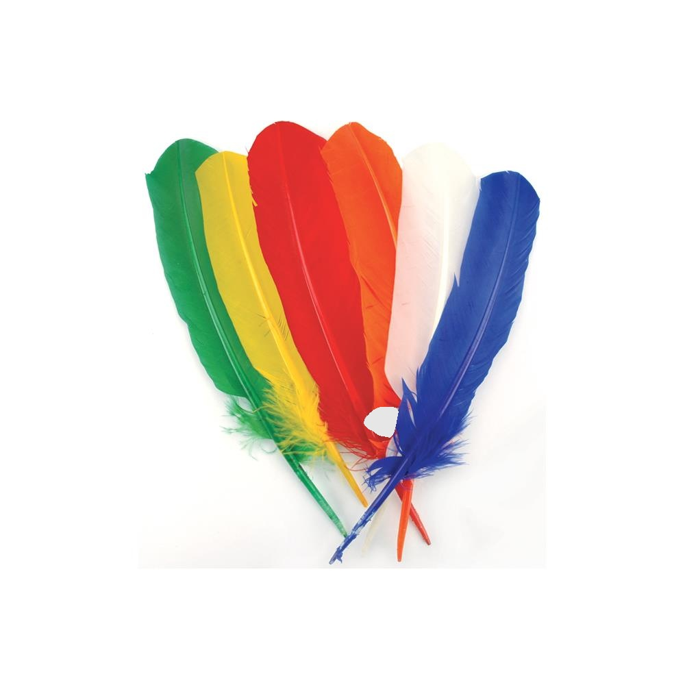 Turkey Quill Feathers Primary 6/Pkg