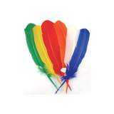 Turkey Quill Feathers Primary 6/Pkg